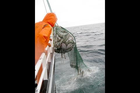 Denmark is constantly striving to fish more efficiently © Danish Fishermen’s Association